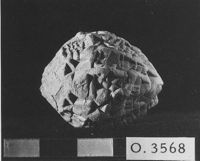 M060039