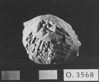 M060041