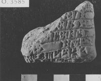 M060042