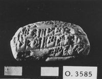 M060044