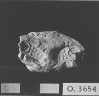 M060052