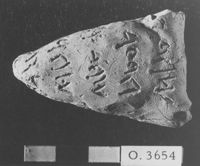 M060054