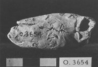 M060055