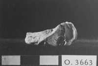 M060060
