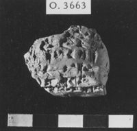 M060061