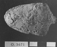 M060071