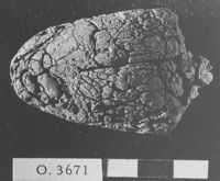 M060072