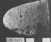 M060073