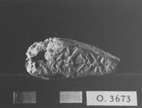 M060074