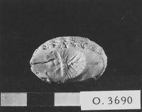 M060098