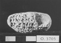 M060131