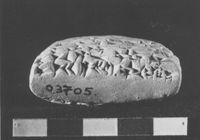 M060132