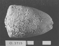 M060146