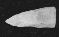 M063006