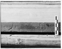 M064496
