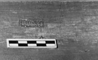 M064498