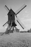 M065271