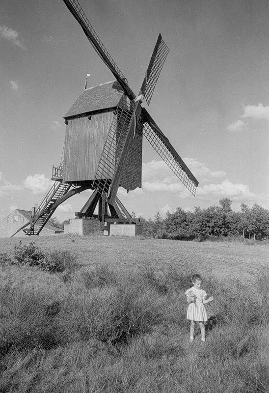 Heimolen