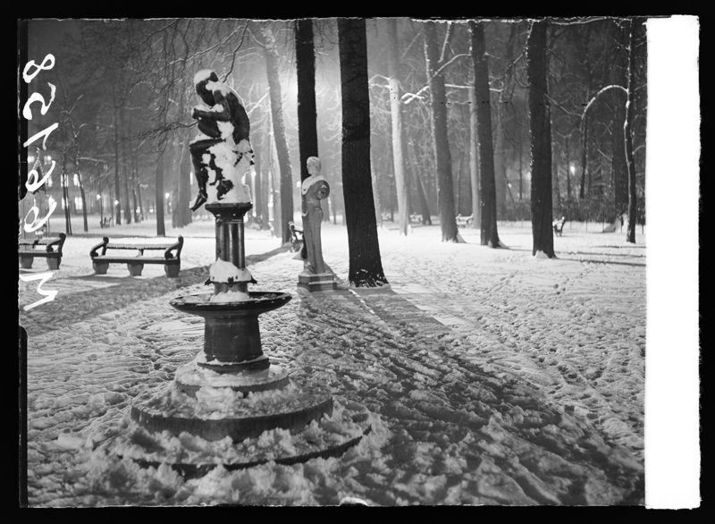 Parc du Cinquantenaire