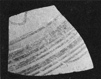M066851