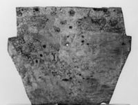 M067806