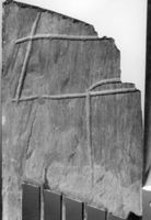 M067815