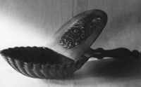M077066