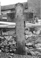 M082561