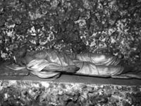 M088855