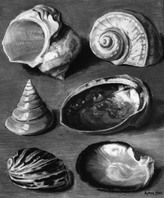 Schelpdieren (serie van 20)