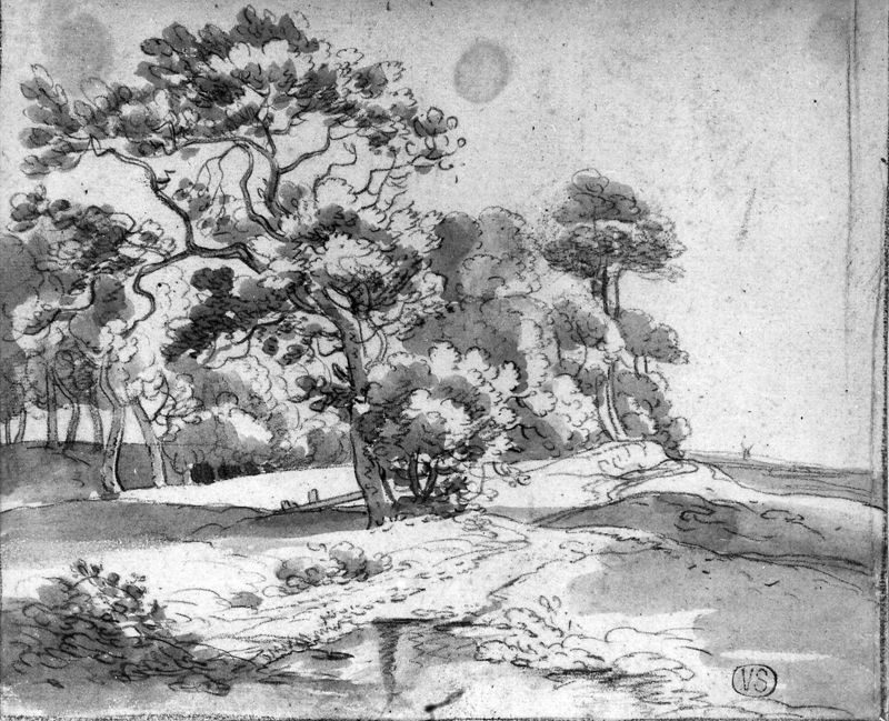 Landschap
