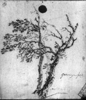 M107443