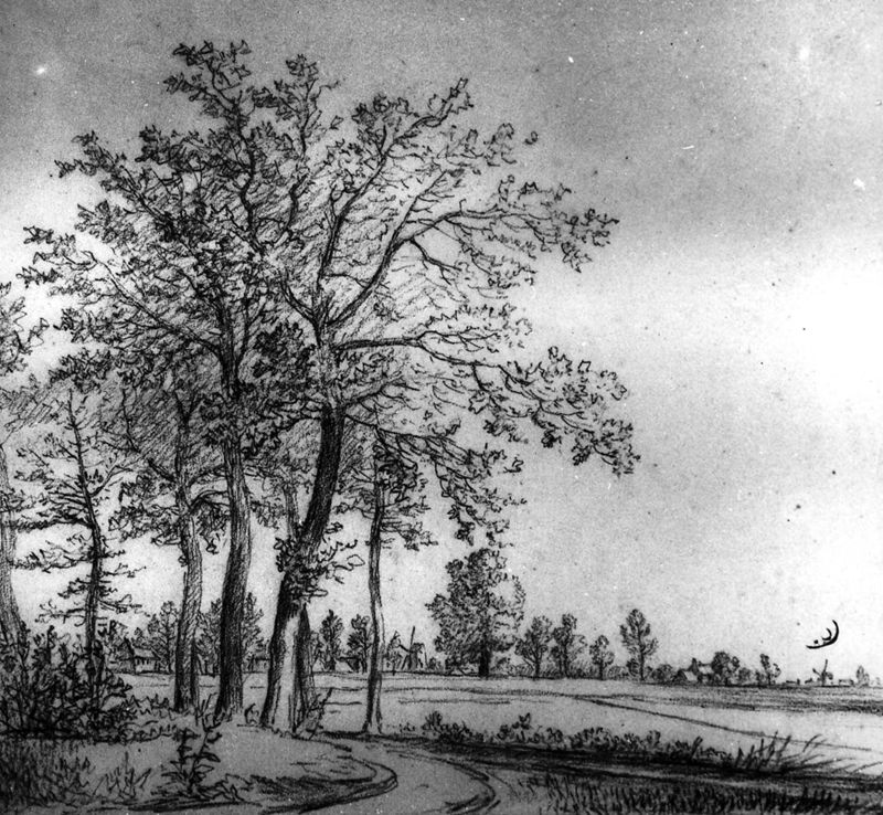 Landschap