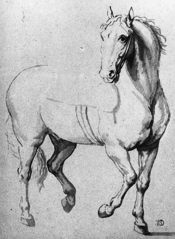 Een paard