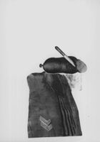 M109584