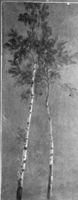 M112177
