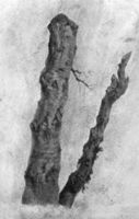 M112178