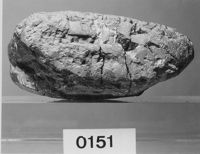 M113889