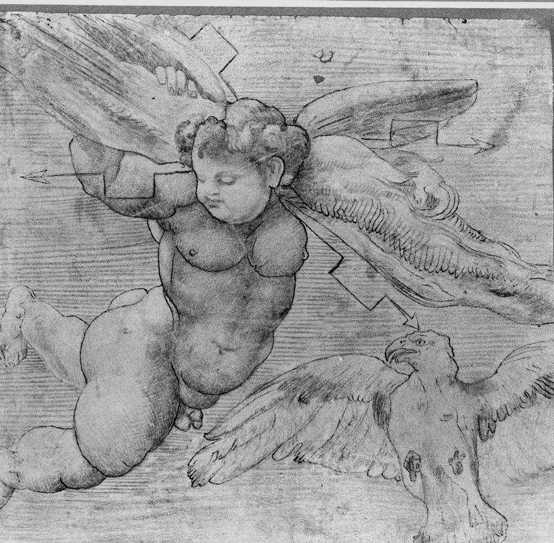 Album d'Arenberg : putto ailé (aigle de Jupiter et angelot tenant les foudres)