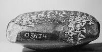 M117409