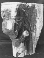 M126219