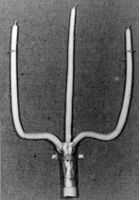 M126736