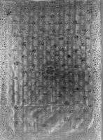 M129704