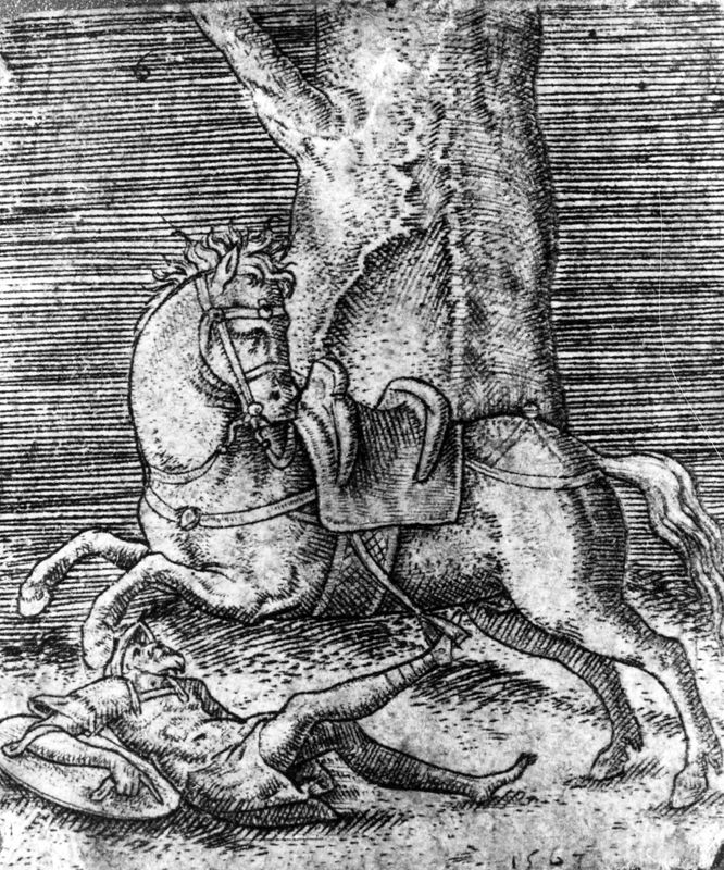 Gevallen ruiter