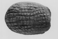 M134120
