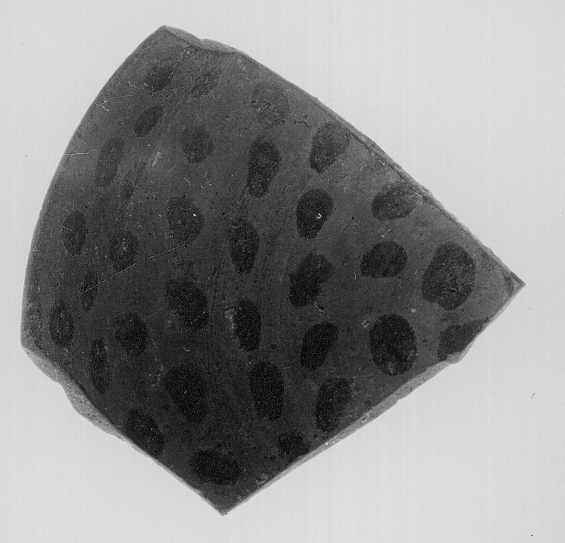 ostracon / Musées Royaux d'Art et d'Histoire