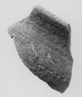 M134767