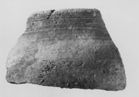 M134769
