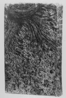 M142264