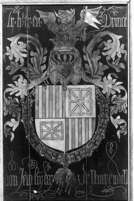 van Jan II van Aragon en Navarra